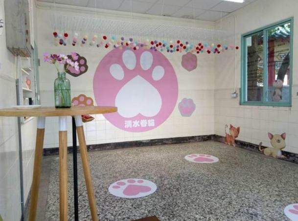 屏東貓村 屏東貓村