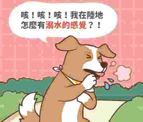 狗狗肺積水病徵