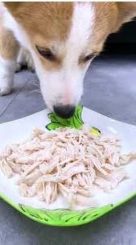 雞胸肉對狗的好處 雞胸肉對狗的好處