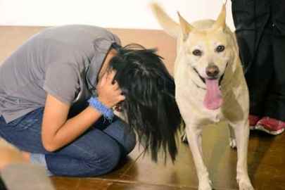 狂犬病預防 狂犬病預防