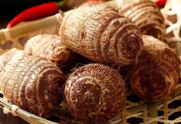 芋头对狗的好处