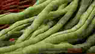 豆角保存技巧 豆角保存技巧