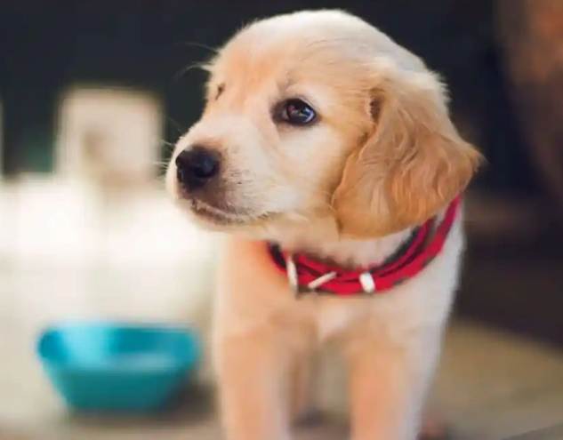 藥膏中毒症狀 藥膏中毒症狀