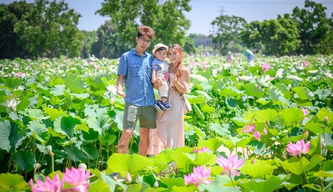 觀音一日遊行程 觀音一日遊行程