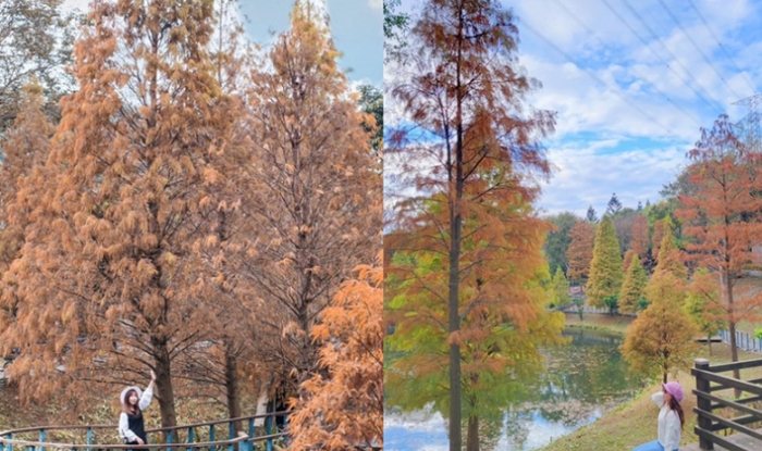 富岡旅遊攻略 富岡旅遊攻略