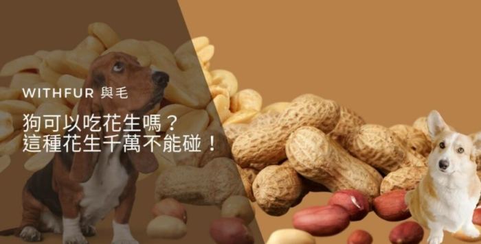 狗可以吃花生糖嗎