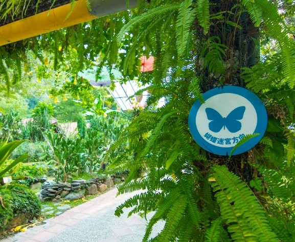 台一農場活動 台一農場活動