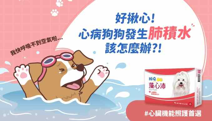狗心臟病肺積水症狀