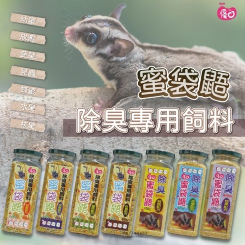 蜜袋鼯飼料完整指南：從選擇到餵養的專家建議