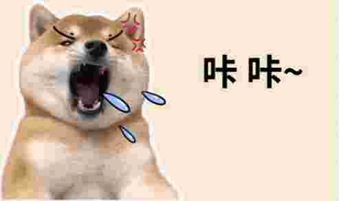 狗狗咳嗽治療 狗狗咳嗽治療