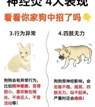 神經狗
