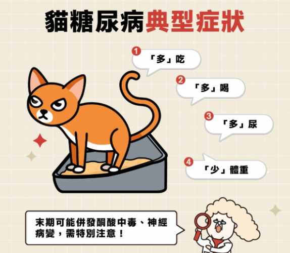 貓糖尿病風險因素