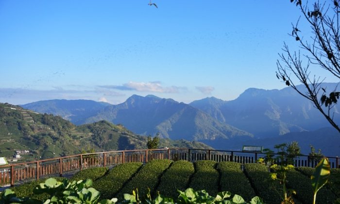 阿里山旅遊景點 阿里山旅遊景點