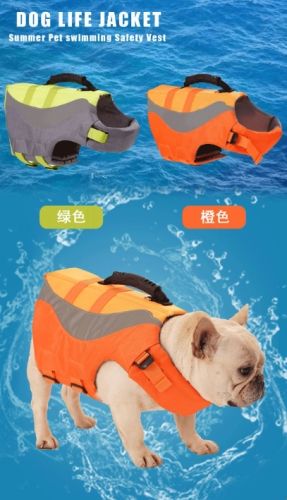 狗狗救生衣 狗狗救生衣