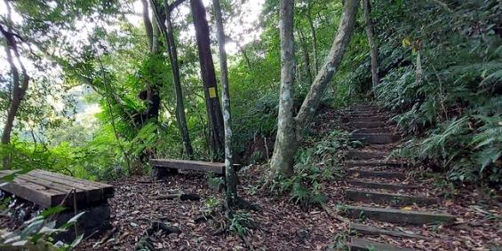 白雞山登山路線 白雞山登山路線