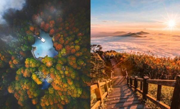 阿里山步行旅遊 阿里山步行旅遊