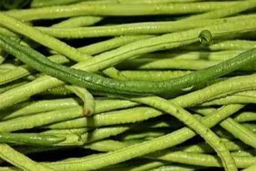 豆角清洗方法 豆角清洗方法