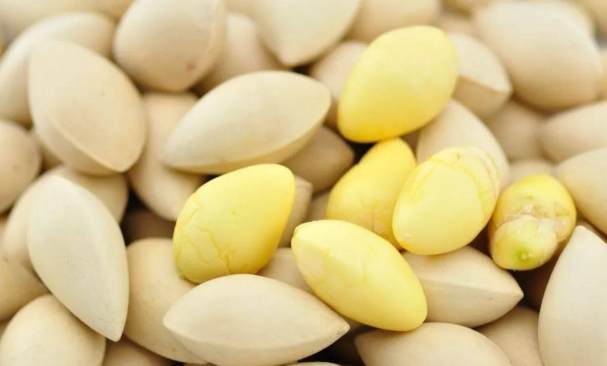 白果營養價值 白果營養價值