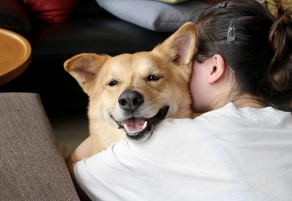 寵物情感溝通 寵物情感溝通