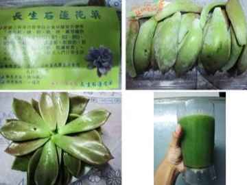 石蓮花健康飲品