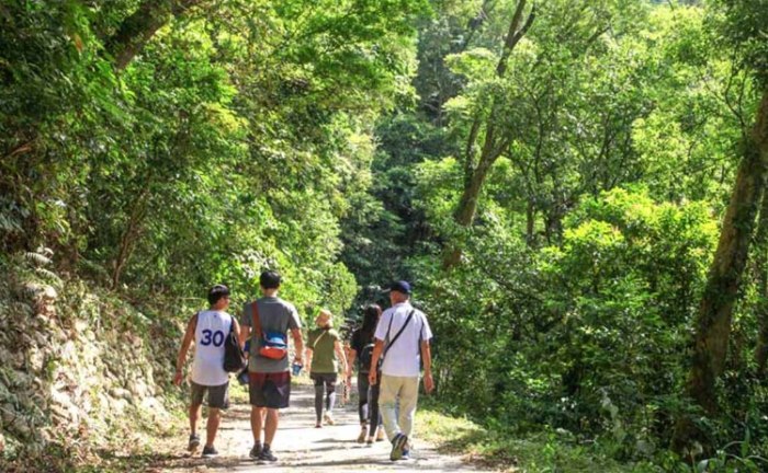 知本森林遊樂區