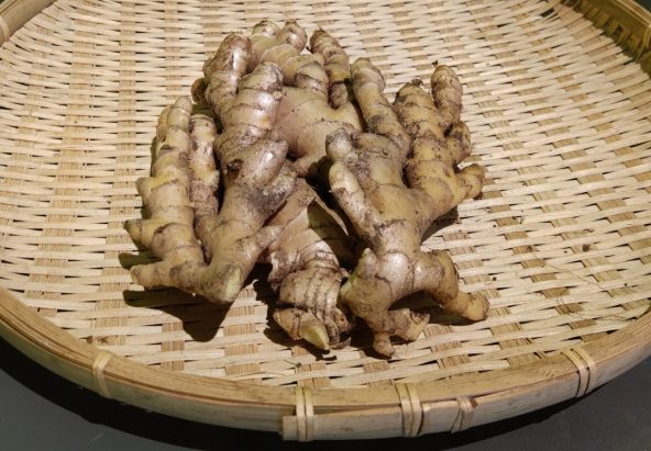 竹薑功效 竹薑功效