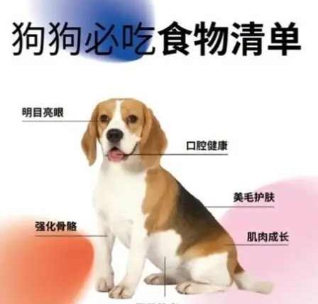 幼犬可以吃優格嗎