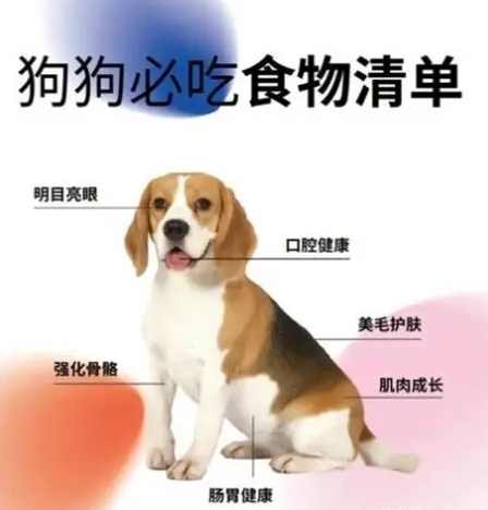 幼犬 優格 幼犬 優格