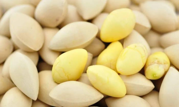 白果功效 白果功效