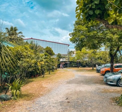 囍羊羊牧場門票 囍羊羊牧場門票