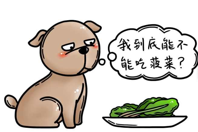 狗吃菠菜好處