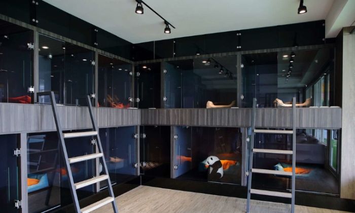 寵物寄宿比較 寵物寄宿比較