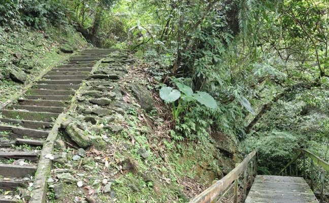 鯉魚山登山步道 鯉魚山登山步道