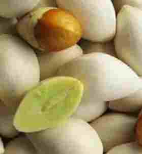 銀杏果仁好處 銀杏果仁好處