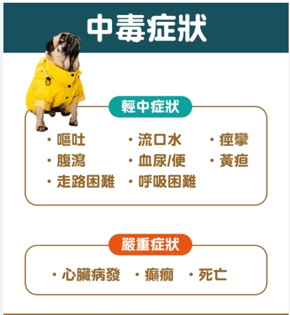 狗狗中毒急救 狗狗中毒急救