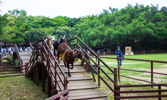 埔心牧場 埔心牧場