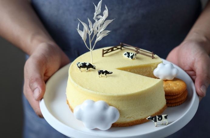 起司蛋糕購買指南 起司蛋糕購買指南