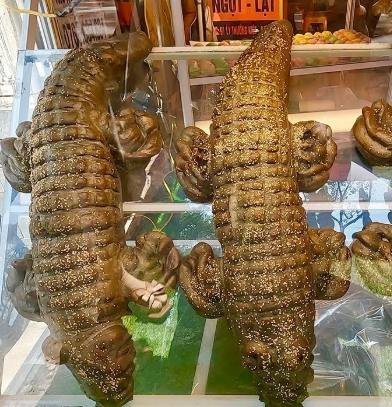 鱷魚農場交通方式