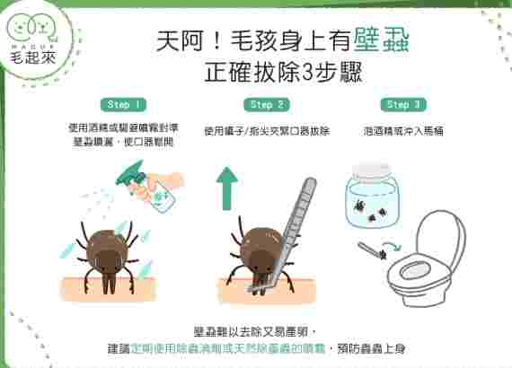 狗狗身上有蟲怎麼辦