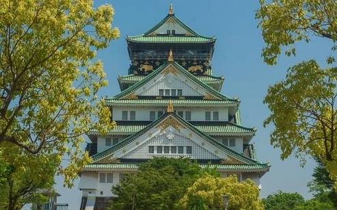 綠色博覽會 攻略 綠色博覽會 攻略