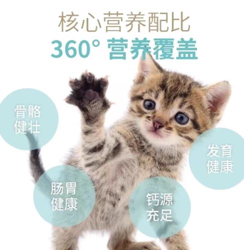 貓補鈣食材 貓補鈣食材