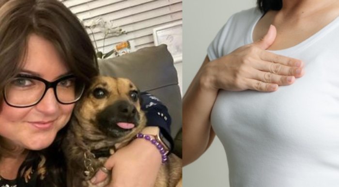 狗狗胸部有硬塊