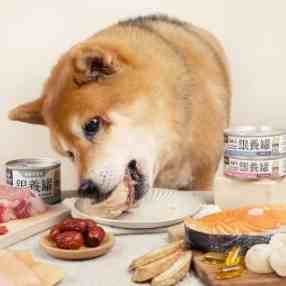 高齡犬罐頭推薦