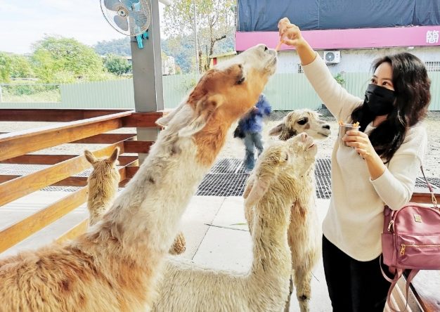 宜蘭親子農場 宜蘭親子農場