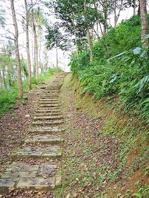 鯉魚山步道交通 鯉魚山步道交通