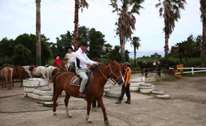 濟州騎馬公園