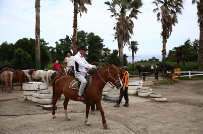 濟州騎馬公園全攻略：景點、騎馬體驗與實用資訊