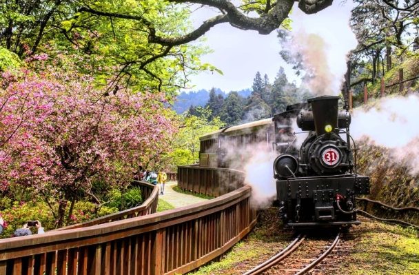 阿里山步行旅遊 阿里山步行旅遊