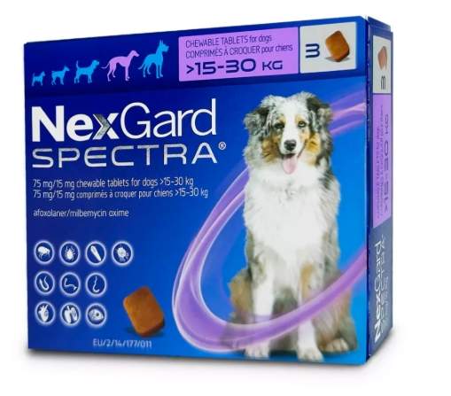 狗狗寄生蟲症狀