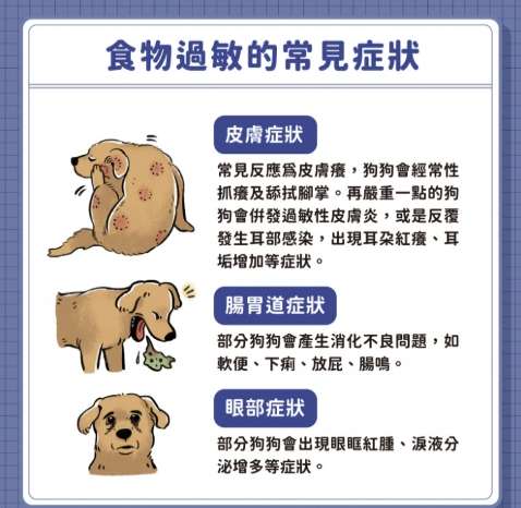 狗狗食物過敏